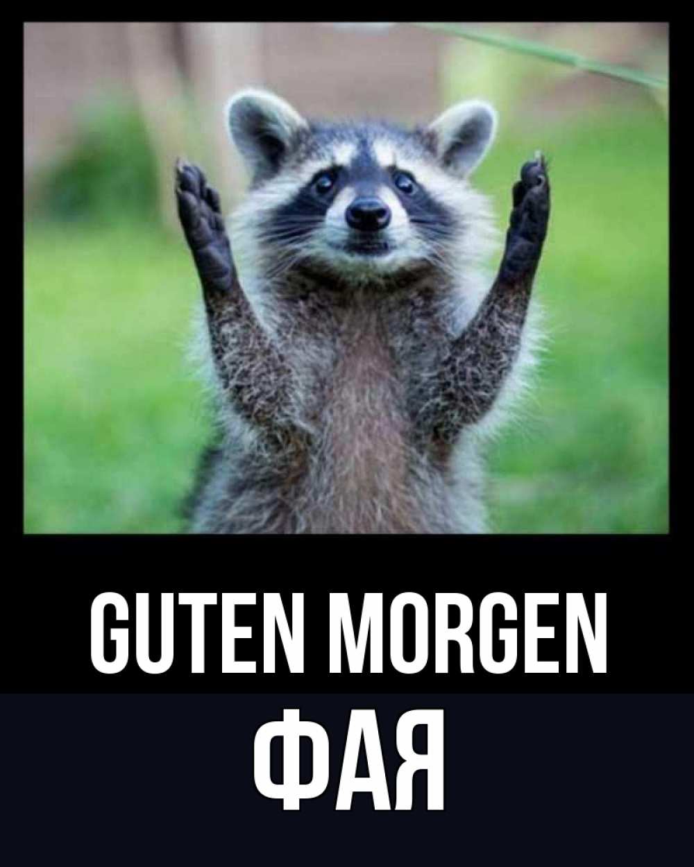 Открытка на каждый день с именем, Фая Guten Morgen хорошее настроение утречком Прикольная открытка с пожеланием онлайн скачать бесплатно 