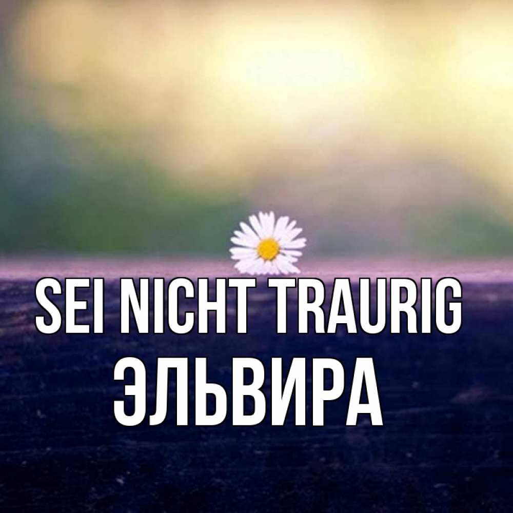 Открытка на каждый день с именем, Эльвира Sei nicht traurig красота Прикольная открытка с пожеланием онлайн скачать бесплатно 