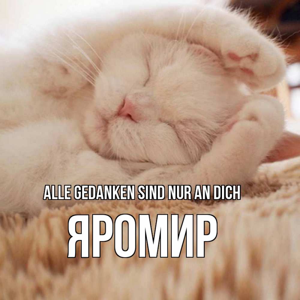 Открытка на каждый день с именем, Яромир Alle Gedanken sind nur an dich для любимой девушки милота Прикольная открытка с пожеланием онлайн скачать бесплатно 