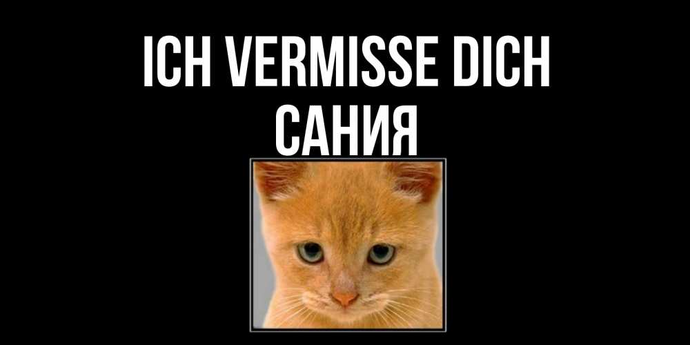 Открытка на каждый день с именем, Сания Ich vermisse dich открытки рыжий котенок скучает по тебе Прикольная открытка с пожеланием онлайн скачать бесплатно 