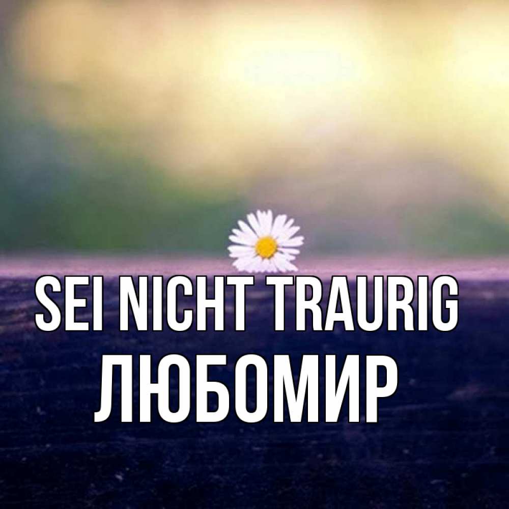 Открытка на каждый день с именем, Любомир Sei nicht traurig красота Прикольная открытка с пожеланием онлайн скачать бесплатно 