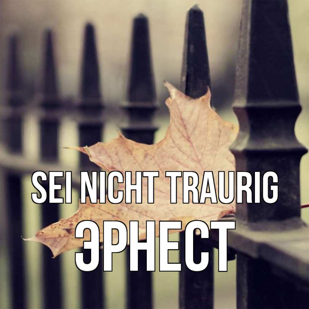 Открытка на каждый день с именем, Эрнест Sei nicht traurig лист клена Прикольная открытка с пожеланием онлайн скачать бесплатно 