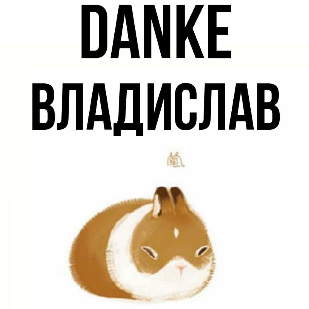 Открытка на каждый день с именем, Владислав Danke коричнево белый домашний питомец Прикольная открытка с пожеланием онлайн скачать бесплатно 