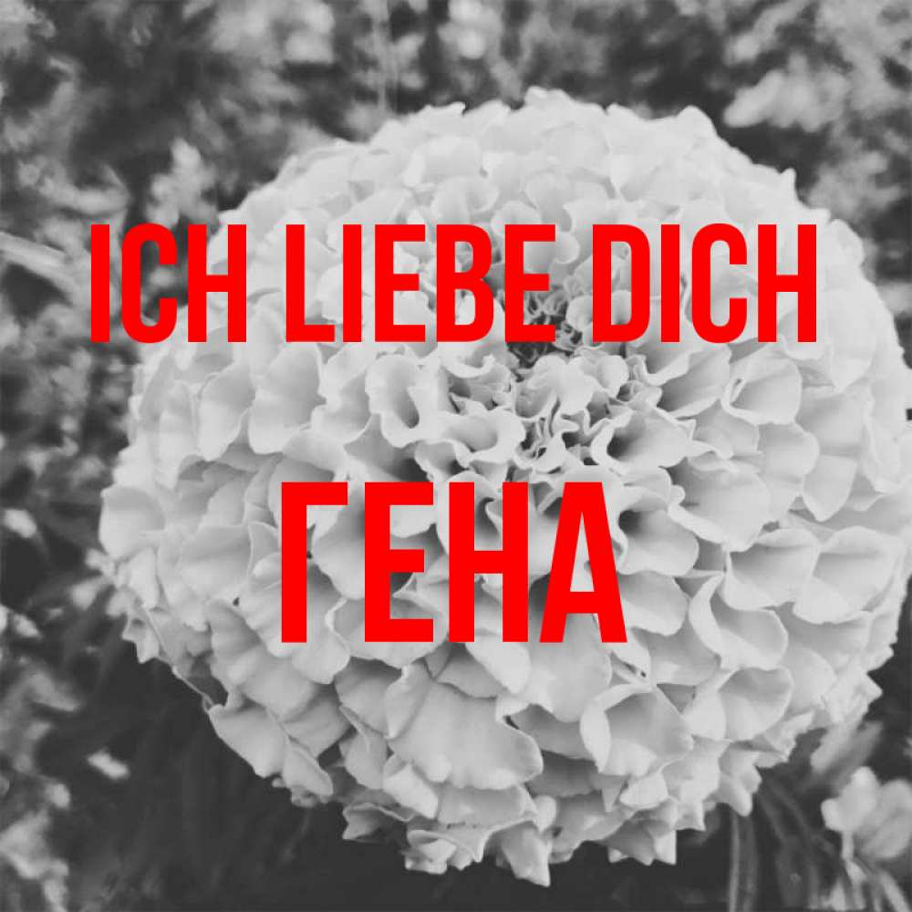 Открытка на каждый день с именем, Гена Ich liebe dich подпись Прикольная открытка с пожеланием онлайн скачать бесплатно 