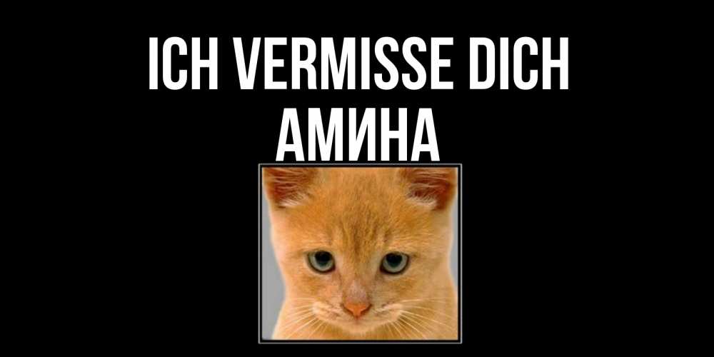 Открытка на каждый день с именем, Амина Ich vermisse dich открытки рыжий котенок скучает по тебе Прикольная открытка с пожеланием онлайн скачать бесплатно 