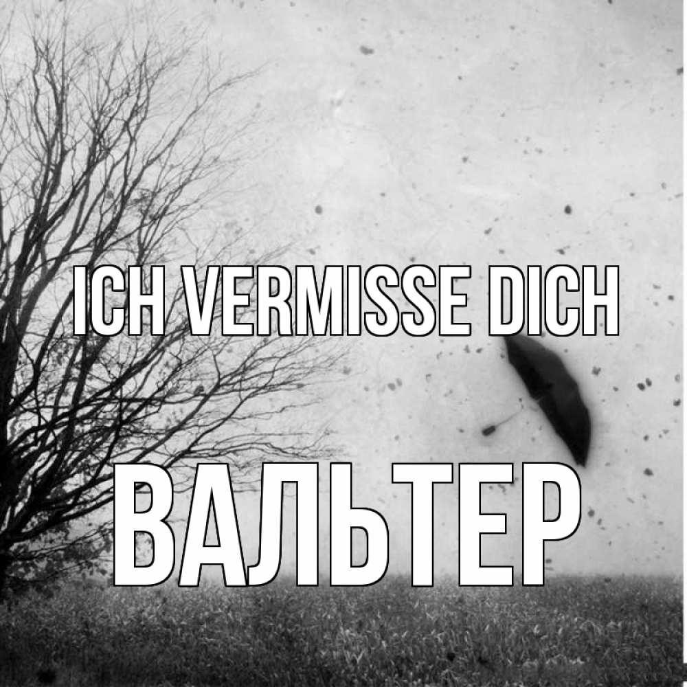 Открытка на каждый день с именем, Вальтер Ich vermisse dich зонт летит Прикольная открытка с пожеланием онлайн скачать бесплатно 