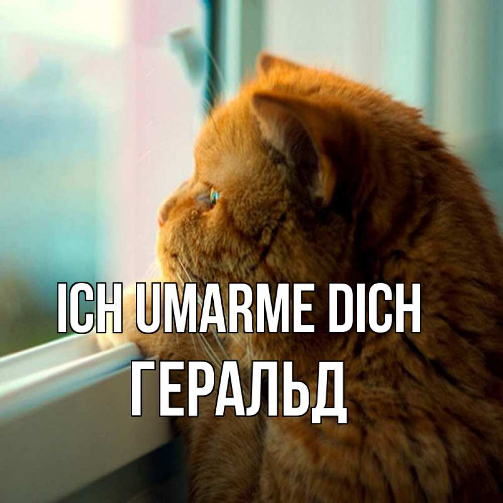 Открытка на каждый день с именем, Геральд Ich umarme dich большой огромный рыжий котяра Прикольная открытка с пожеланием онлайн скачать бесплатно 