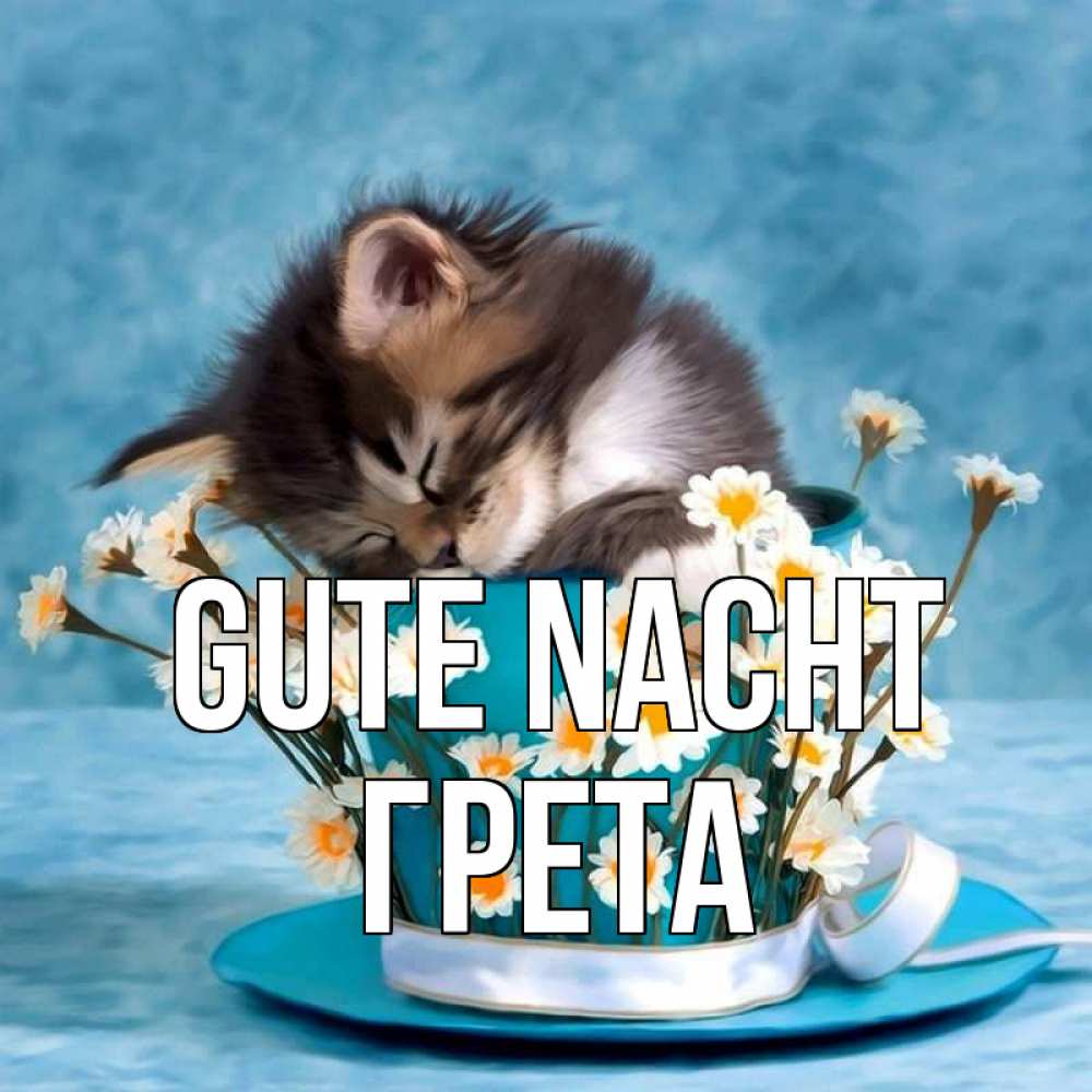 Открытка на каждый день с именем, Грета Gute Nacht котенок спит в кружке с блюдцем Прикольная открытка с пожеланием онлайн скачать бесплатно 