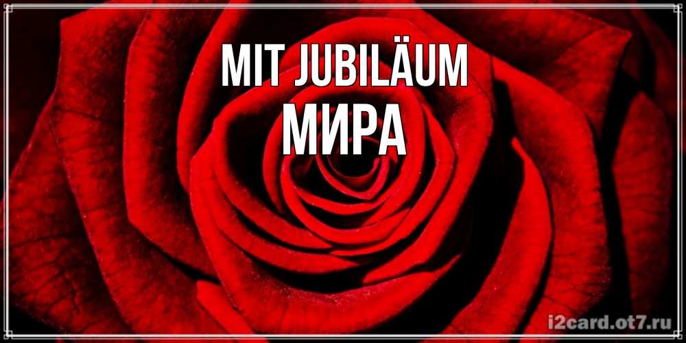 Открытка на каждый день с именем, Мира Mit Jubiläum алая роза Прикольная открытка с пожеланием онлайн скачать бесплатно 