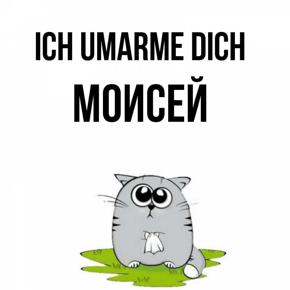 Открытка на каждый день с именем, Моисей Ich umarme dich котик теребит платочек сидя на травке Прикольная открытка с пожеланием онлайн скачать бесплатно 
