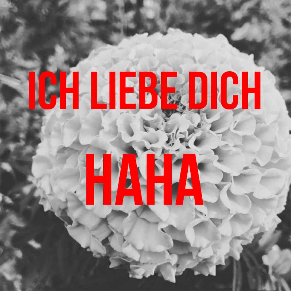 Открытка на каждый день с именем, Нана Ich liebe dich подпись Прикольная открытка с пожеланием онлайн скачать бесплатно 