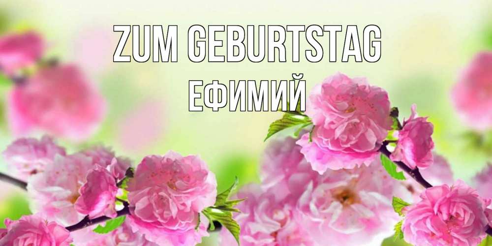 Картинка Zum Geburtstag, Ефимий