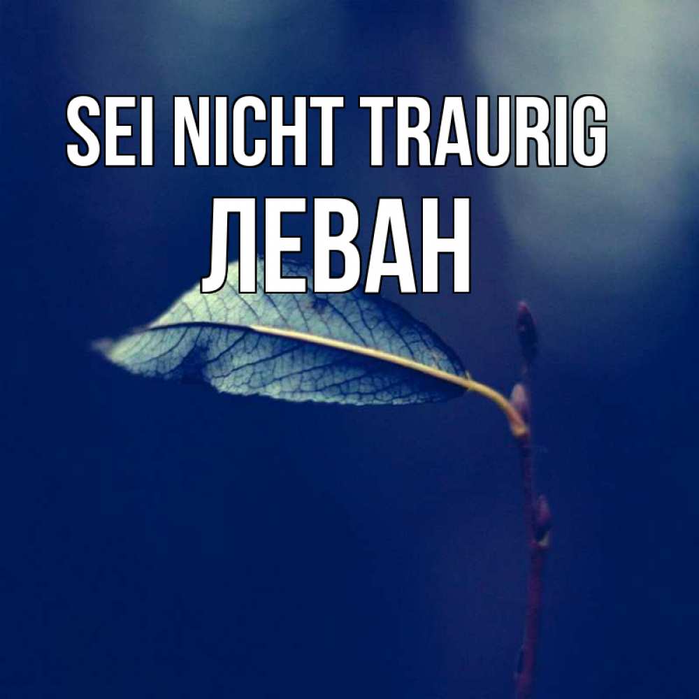 Открытка на каждый день с именем, Леван Sei nicht traurig растение Прикольная открытка с пожеланием онлайн скачать бесплатно 