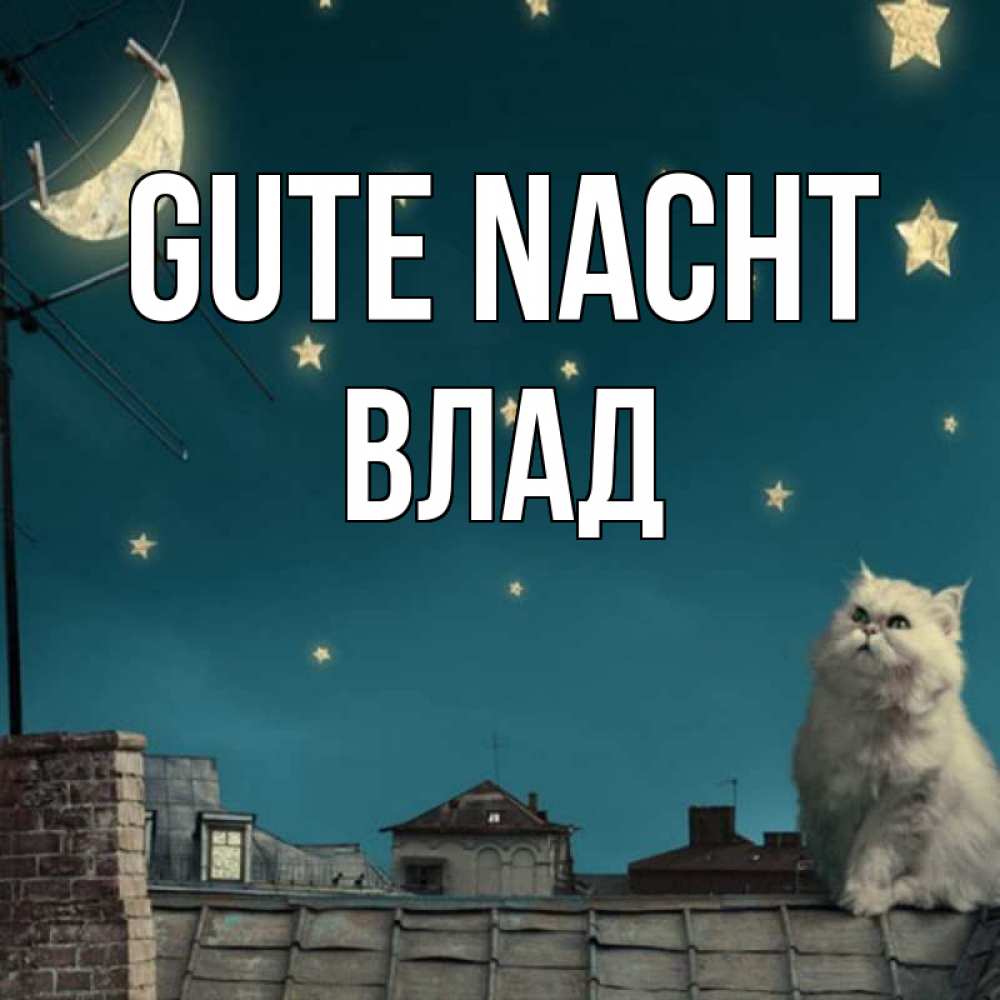 Открытка на каждый день с именем, Влад Gute Nacht белый кот сидит на крыше Прикольная открытка с пожеланием онлайн скачать бесплатно 
