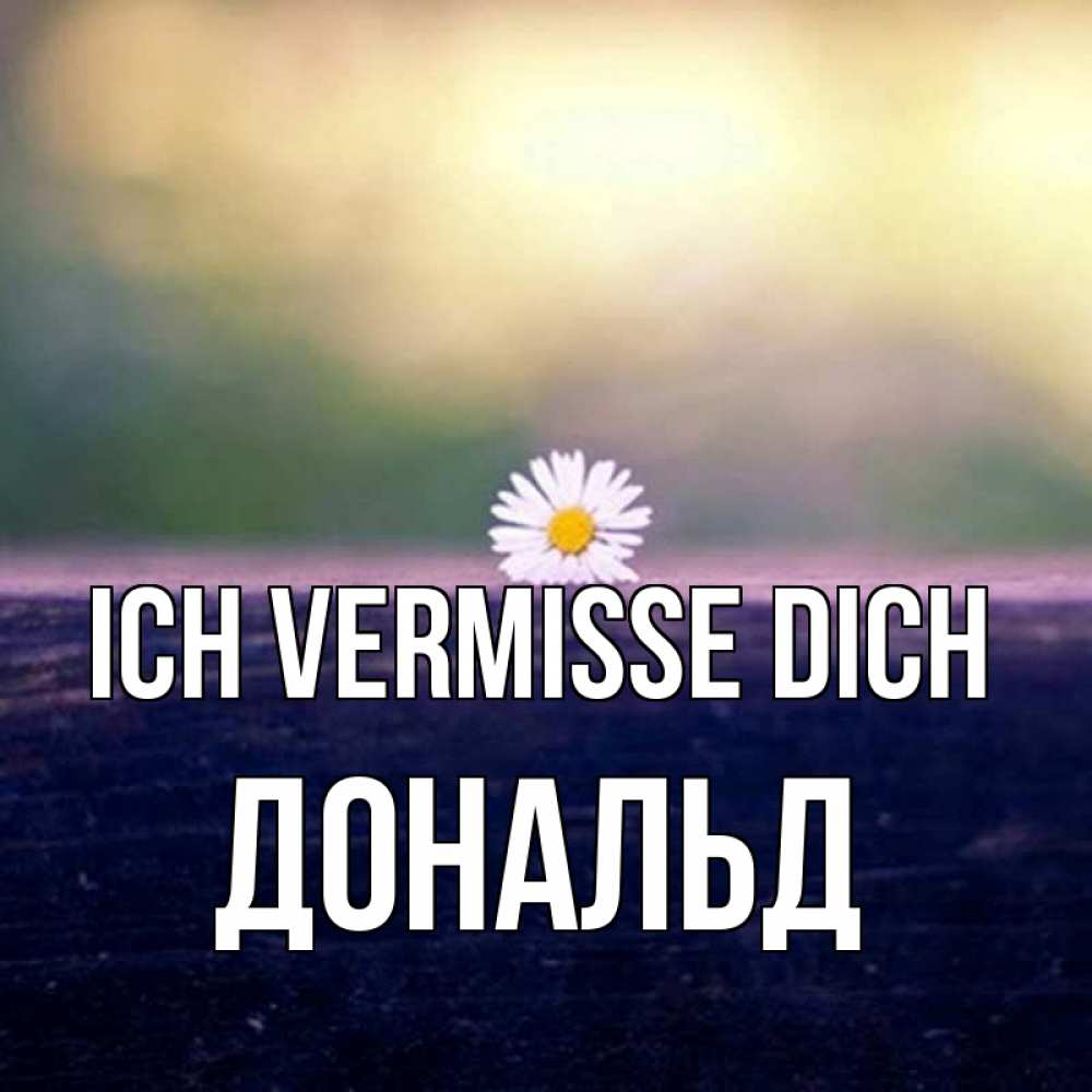 Открытка на каждый день с именем, Дональд Ich vermisse dich приходи в гости Прикольная открытка с пожеланием онлайн скачать бесплатно 