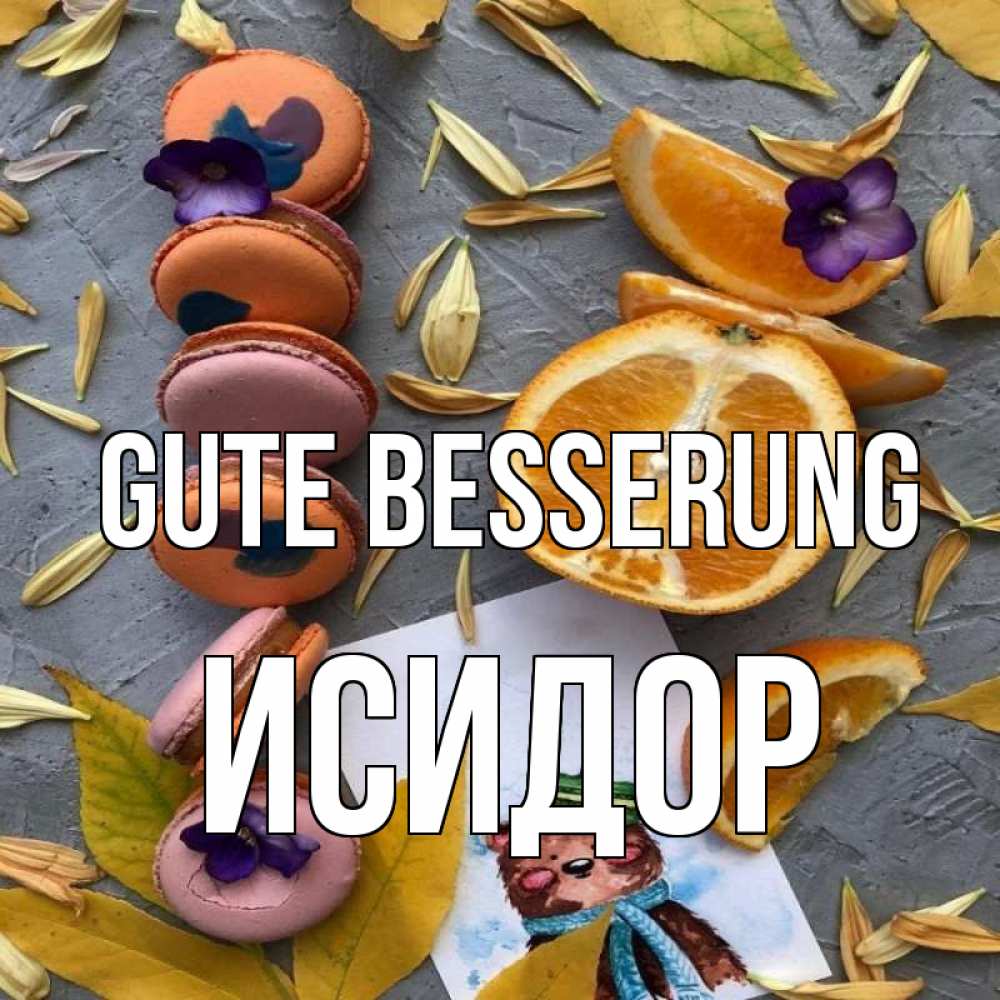 Открытка на каждый день с именем, Исидор Gute Besserung не болейте Прикольная открытка с пожеланием онлайн скачать бесплатно 