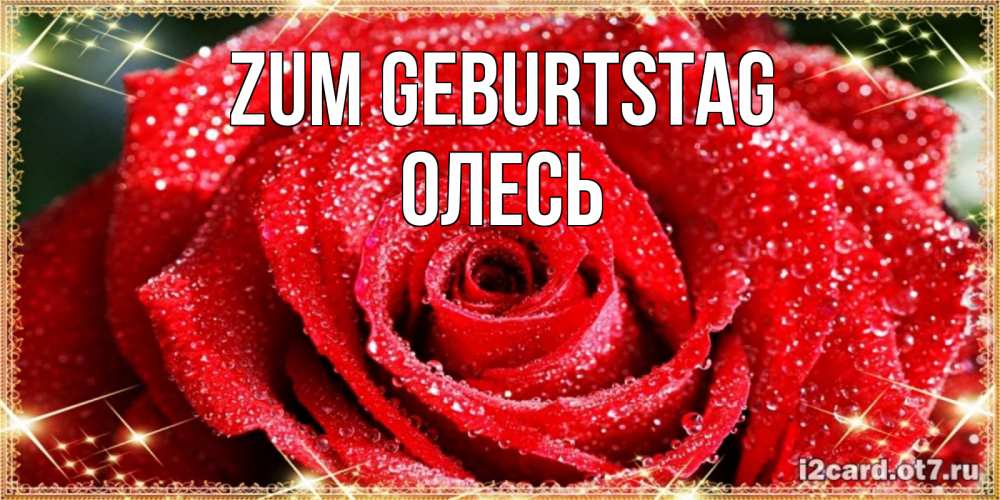 Открытка на каждый день с именем, Олесь Zum Geburtstag роса и роза. открытка с красивой розой Прикольная открытка с пожеланием онлайн скачать бесплатно 