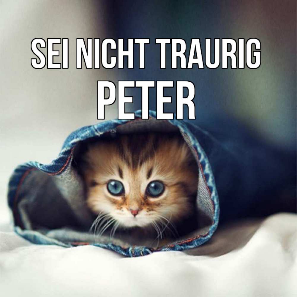 Открытка на каждый день с именем, Peter Sei nicht traurig кот в одежде Прикольная открытка с пожеланием онлайн скачать бесплатно 