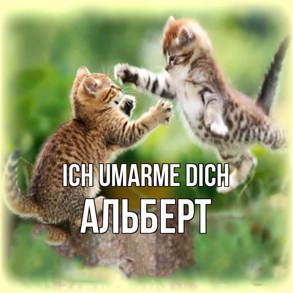 Открытка на каждый день с именем, Альберт Ich umarme dich игры котят Прикольная открытка с пожеланием онлайн скачать бесплатно 