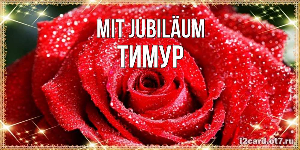 Открытка на каждый день с именем, Тимур Mit Jubiläum роса и роза. открытка с красивой розой Прикольная открытка с пожеланием онлайн скачать бесплатно 