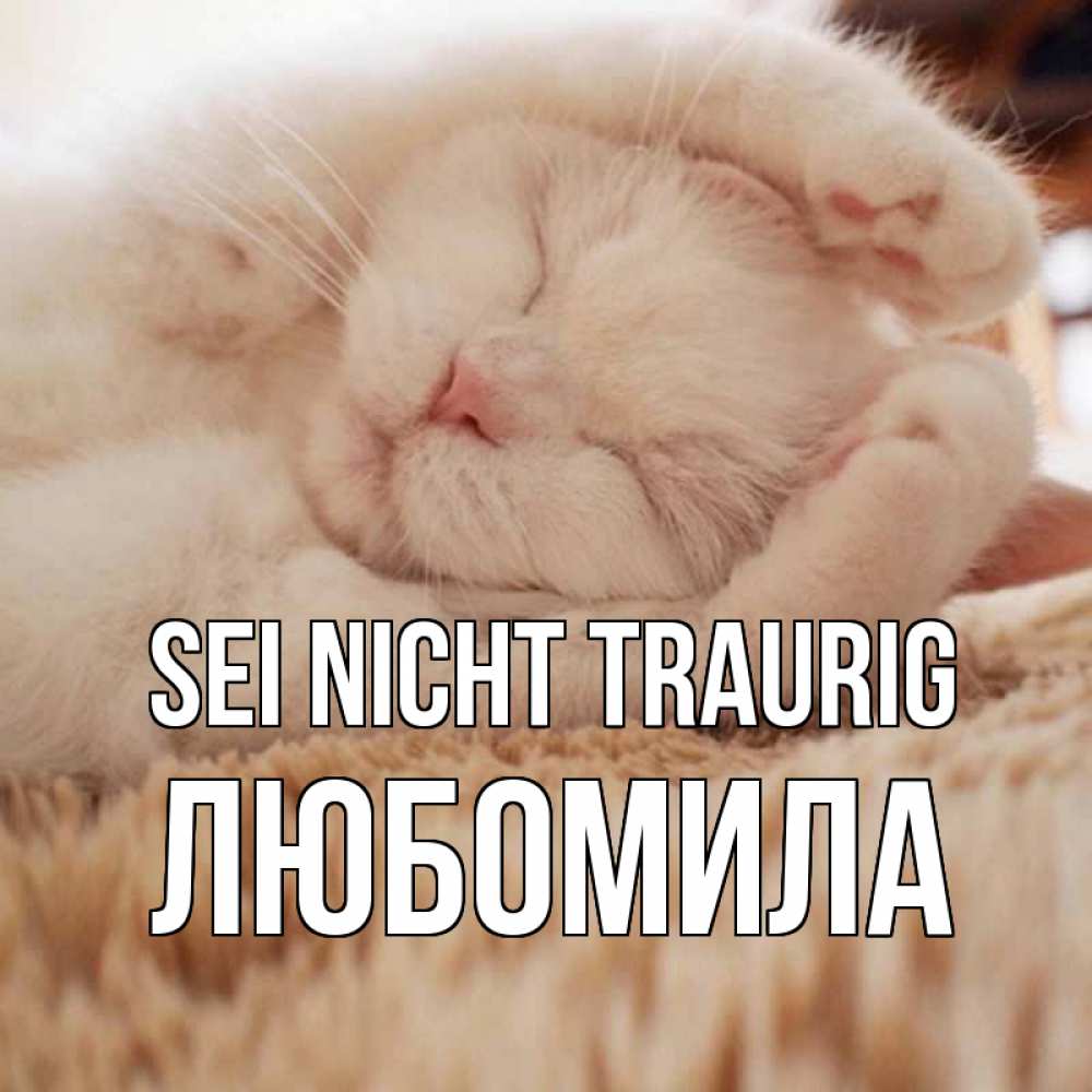 Открытка на каждый день с именем, Любомила Sei nicht traurig белый кот Прикольная открытка с пожеланием онлайн скачать бесплатно 