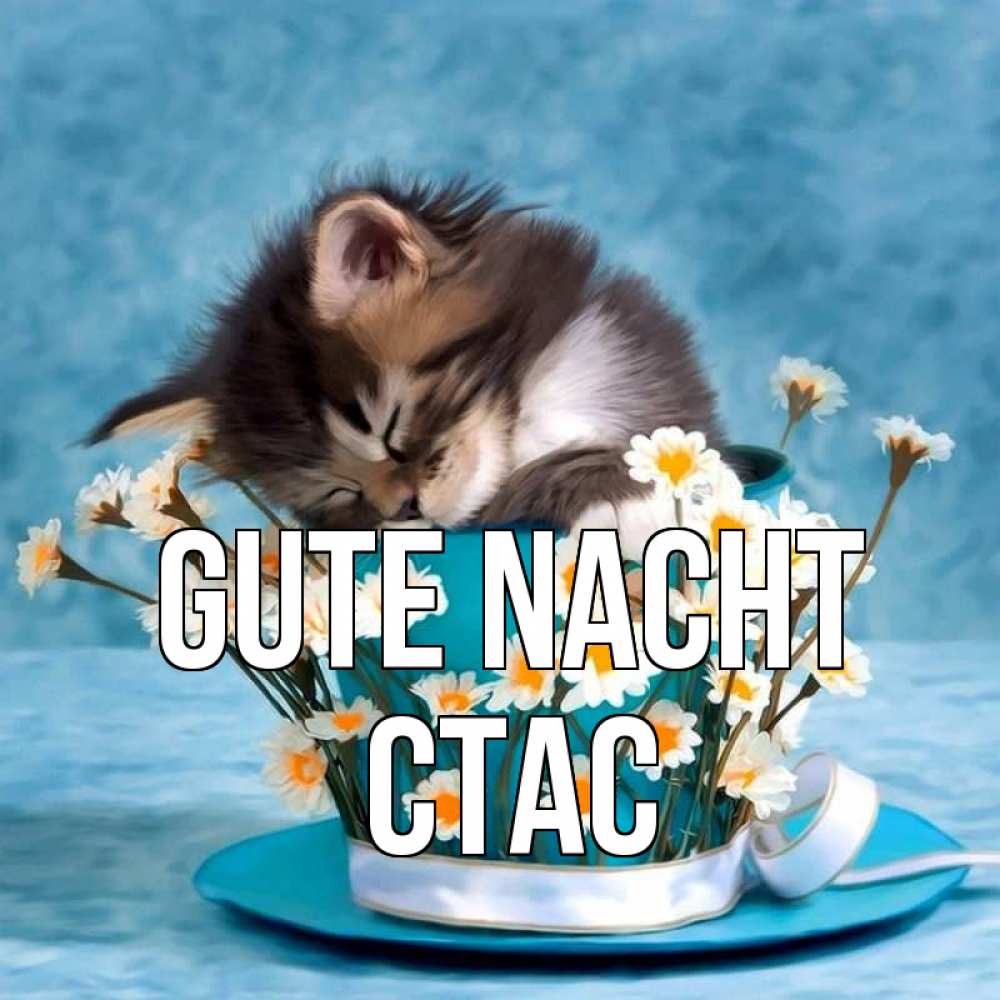 Открытка на каждый день с именем, Стас Gute Nacht котенок спит в кружке с блюдцем Прикольная открытка с пожеланием онлайн скачать бесплатно 