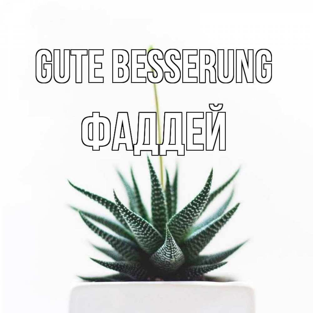 Открытка на каждый день с именем, Фаддей Gute Besserung короче это непонятная колючка Прикольная открытка с пожеланием онлайн скачать бесплатно 