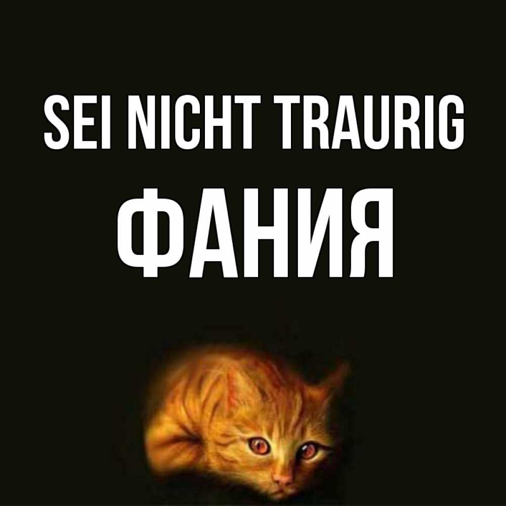 Открытка на каждый день с именем, Фания Sei nicht traurig лежащий кот в темноте Прикольная открытка с пожеланием онлайн скачать бесплатно 