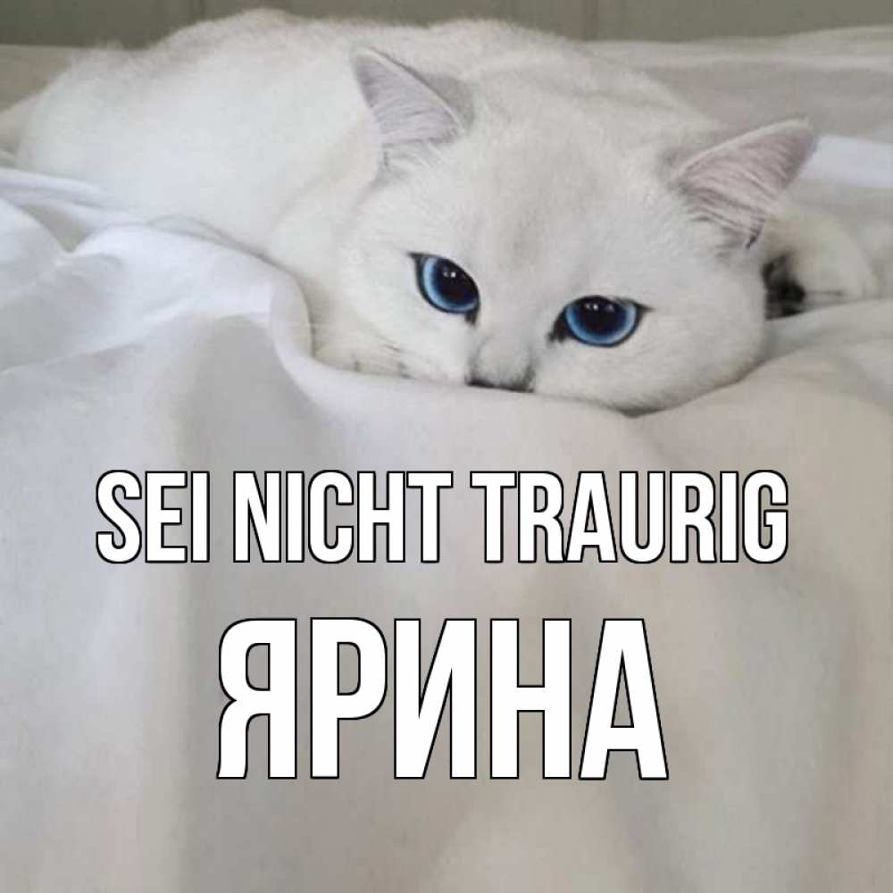 Открытка на каждый день с именем, Ярина Sei nicht traurig белый кот с голубыми глазами на белоснежной кровати Прикольная открытка с пожеланием онлайн скачать бесплатно 
