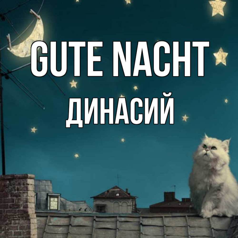 Открытка на каждый день с именем, Динасий Gute Nacht белый кот сидит на крыше Прикольная открытка с пожеланием онлайн скачать бесплатно 