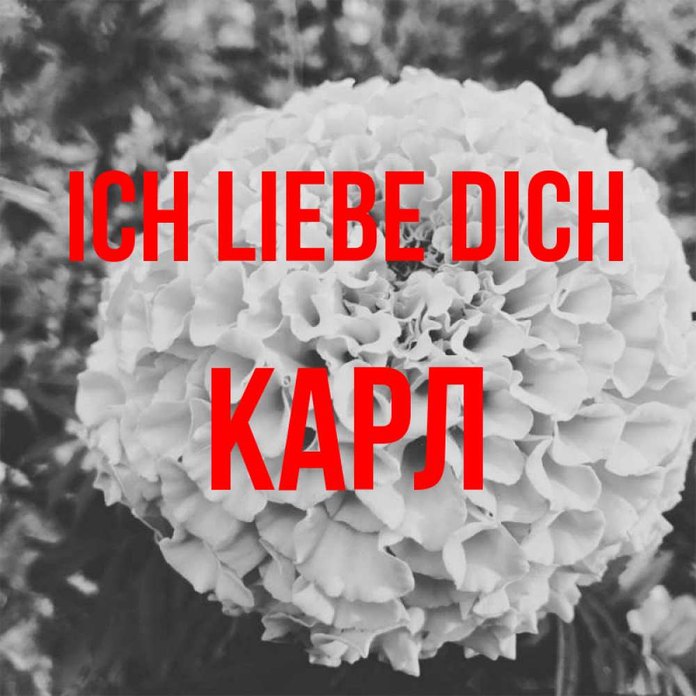 Открытка на каждый день с именем, Карл Ich liebe dich подпись Прикольная открытка с пожеланием онлайн скачать бесплатно 