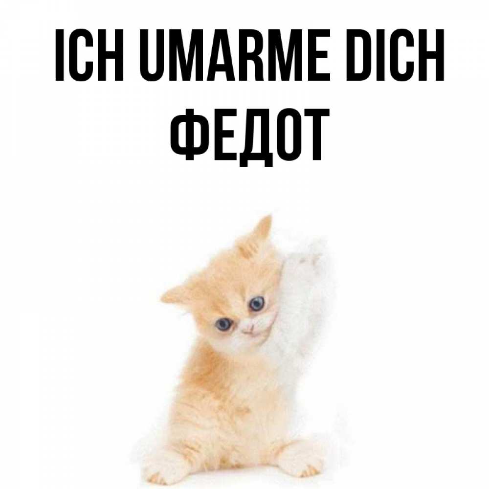 Открытка на каждый день с именем, Федот Ich umarme dich я хочу очень скорее обнимаешек Прикольная открытка с пожеланием онлайн скачать бесплатно 