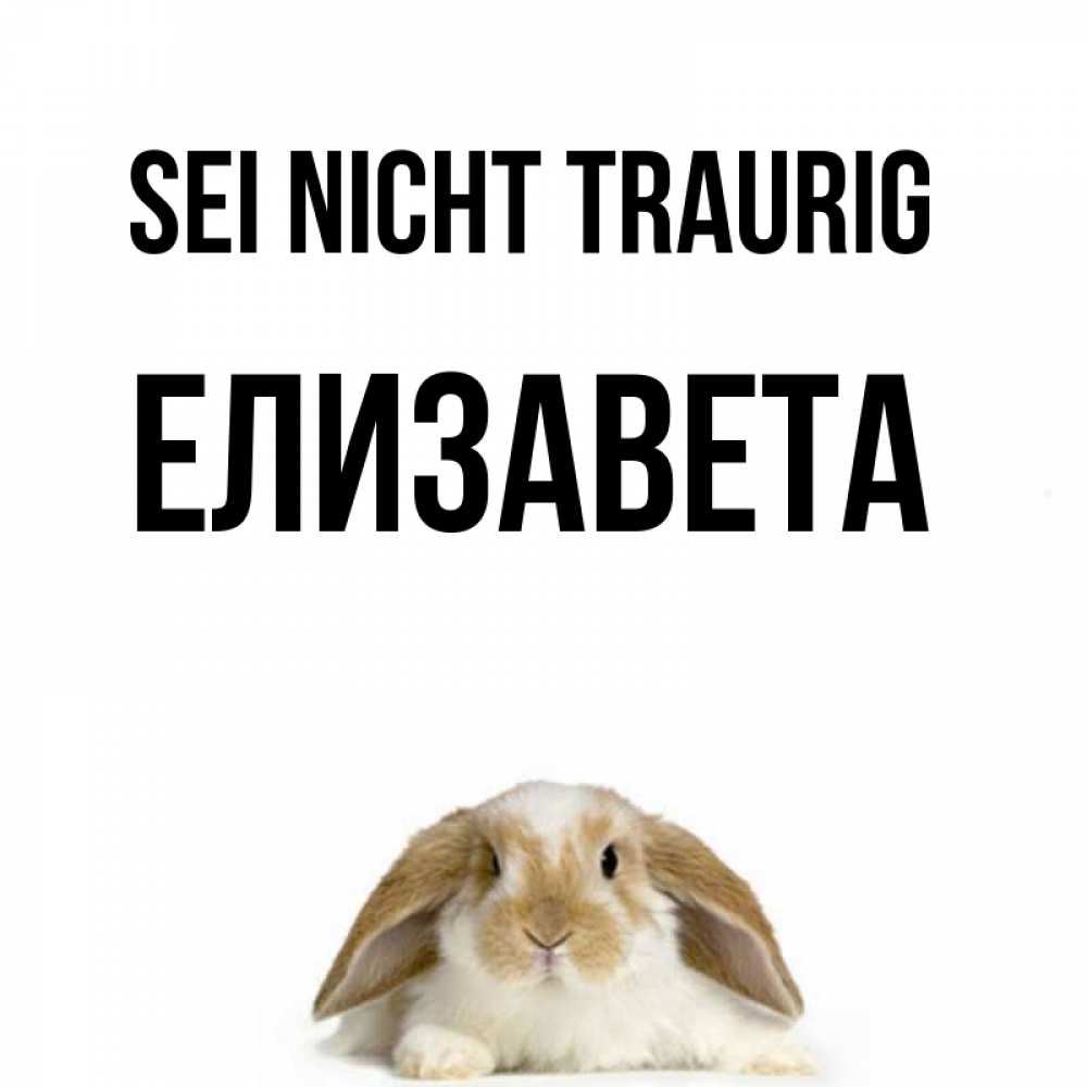 Открытка на каждый день с именем, Елизавета Sei nicht traurig коричнево белый заяц с большими ушками Прикольная открытка с пожеланием онлайн скачать бесплатно 