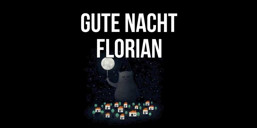 Открытка на каждый день с именем, Florian Gute Nacht кот,луна, ночь, звезды Прикольная открытка с пожеланием онлайн скачать бесплатно 