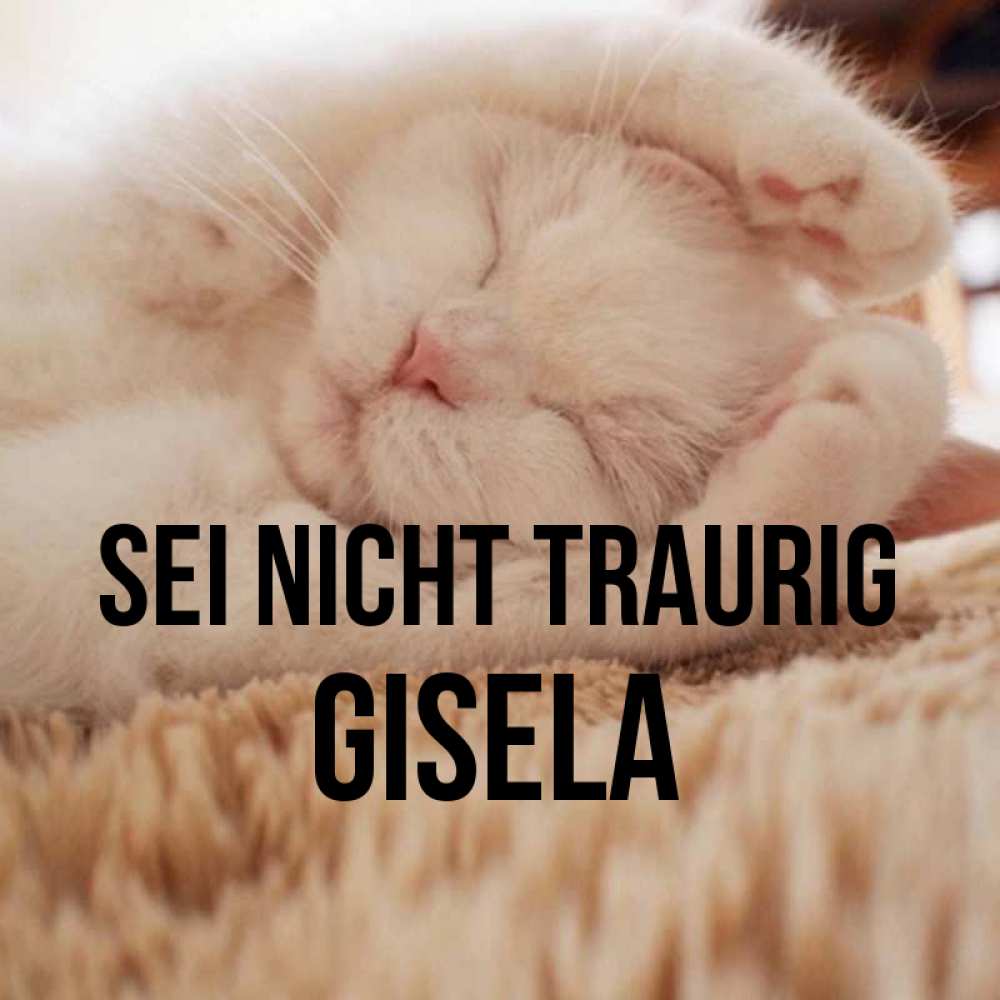 Открытка на каждый день с именем, Gisela Sei nicht traurig Котенок спит Прикольная открытка с пожеланием онлайн скачать бесплатно 