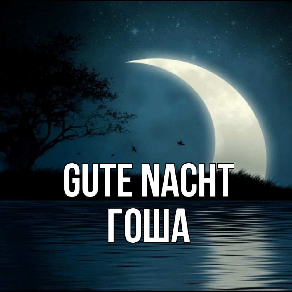 Открытка на каждый день с именем, Гоша Gute Nacht вода Прикольная открытка с пожеланием онлайн скачать бесплатно 