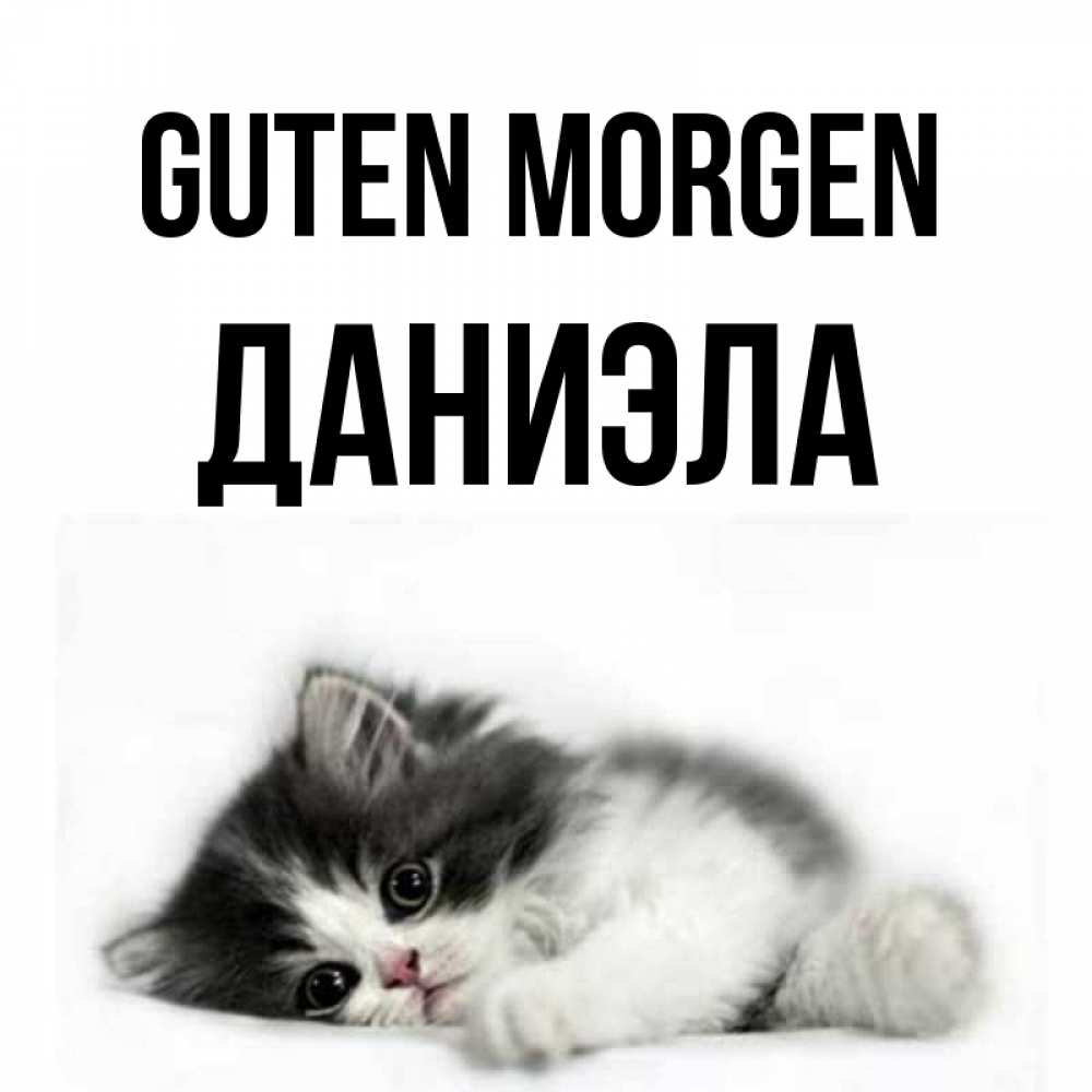 Открытка на каждый день с именем, Даниэла Guten Morgen кот лапки Прикольная открытка с пожеланием онлайн скачать бесплатно 