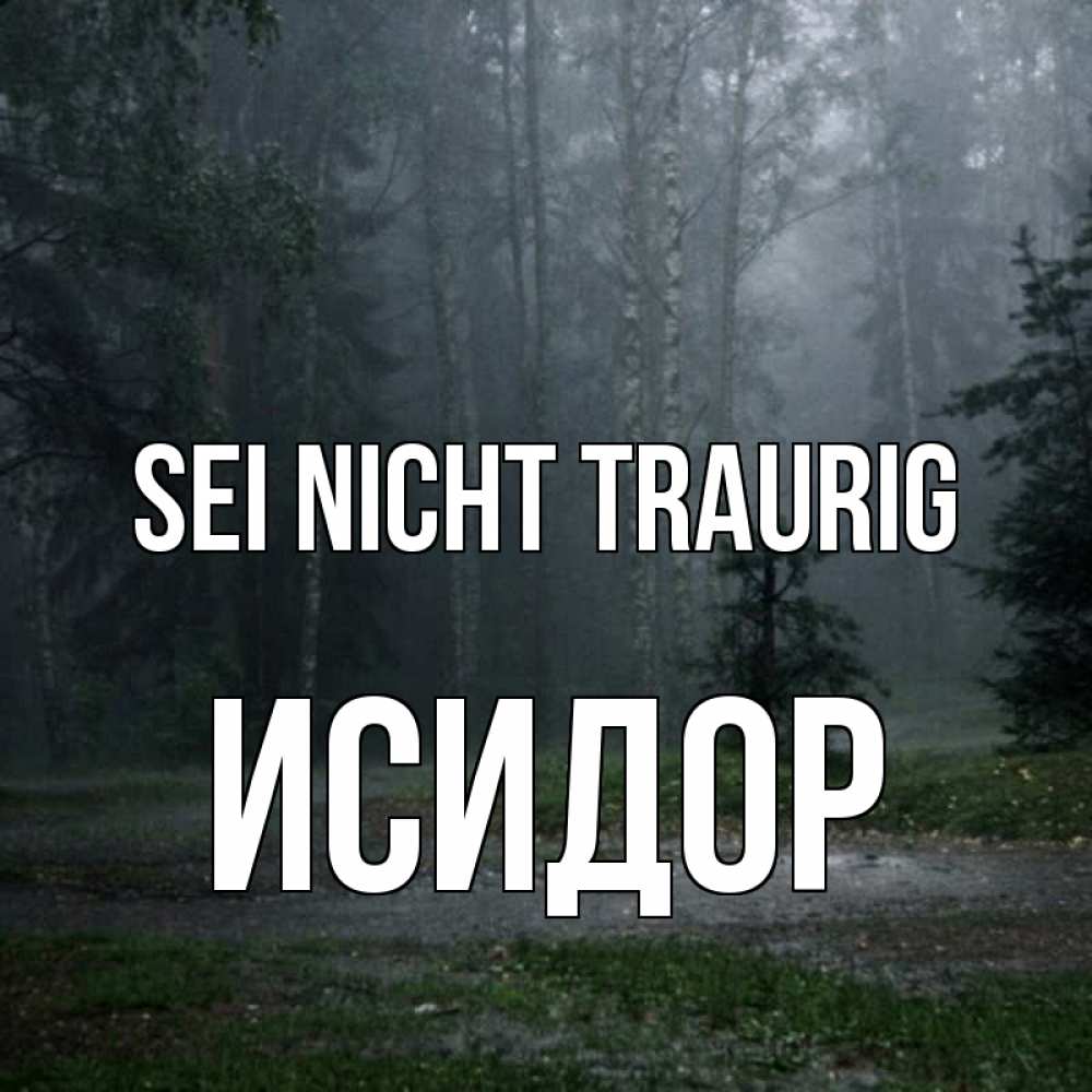 Открытка на каждый день с именем, Исидор Sei nicht traurig осень Прикольная открытка с пожеланием онлайн скачать бесплатно 