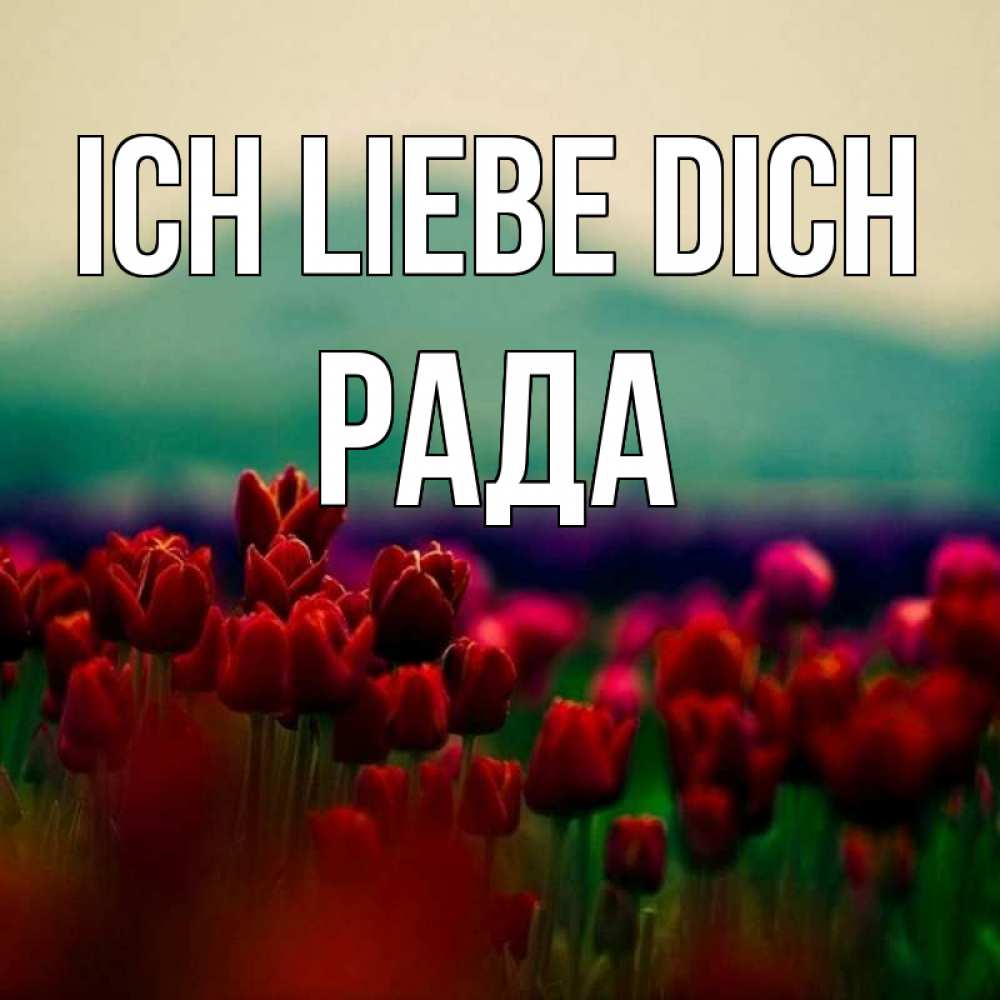 Открытка на каждый день с именем, Рада Ich liebe dich тюльпаны 4 Прикольная открытка с пожеланием онлайн скачать бесплатно 