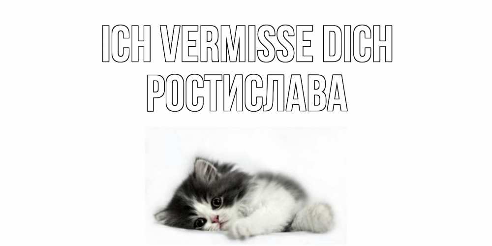 Открытка на каждый день с именем, Ростислава Ich vermisse dich кот, скука Прикольная открытка с пожеланием онлайн скачать бесплатно 