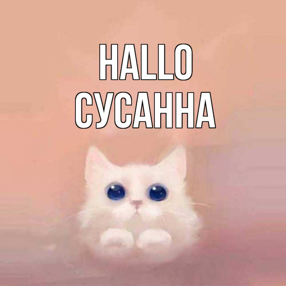 Открытка на каждый день с именем, Сусанна Hallo котик белый в полете Прикольная открытка с пожеланием онлайн скачать бесплатно 