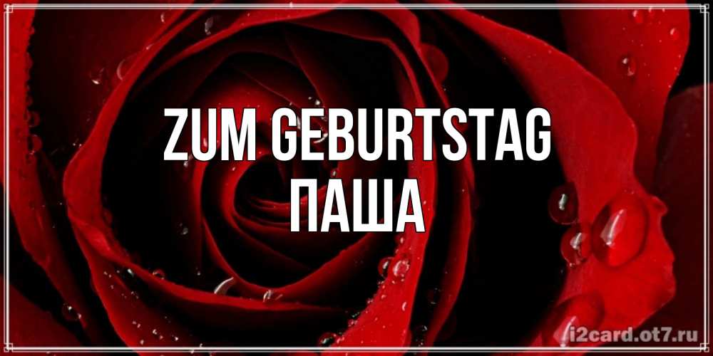 Открытка на каждый день с именем, Паша Zum Geburtstag крупная бордовая роза Прикольная открытка с пожеланием онлайн скачать бесплатно 