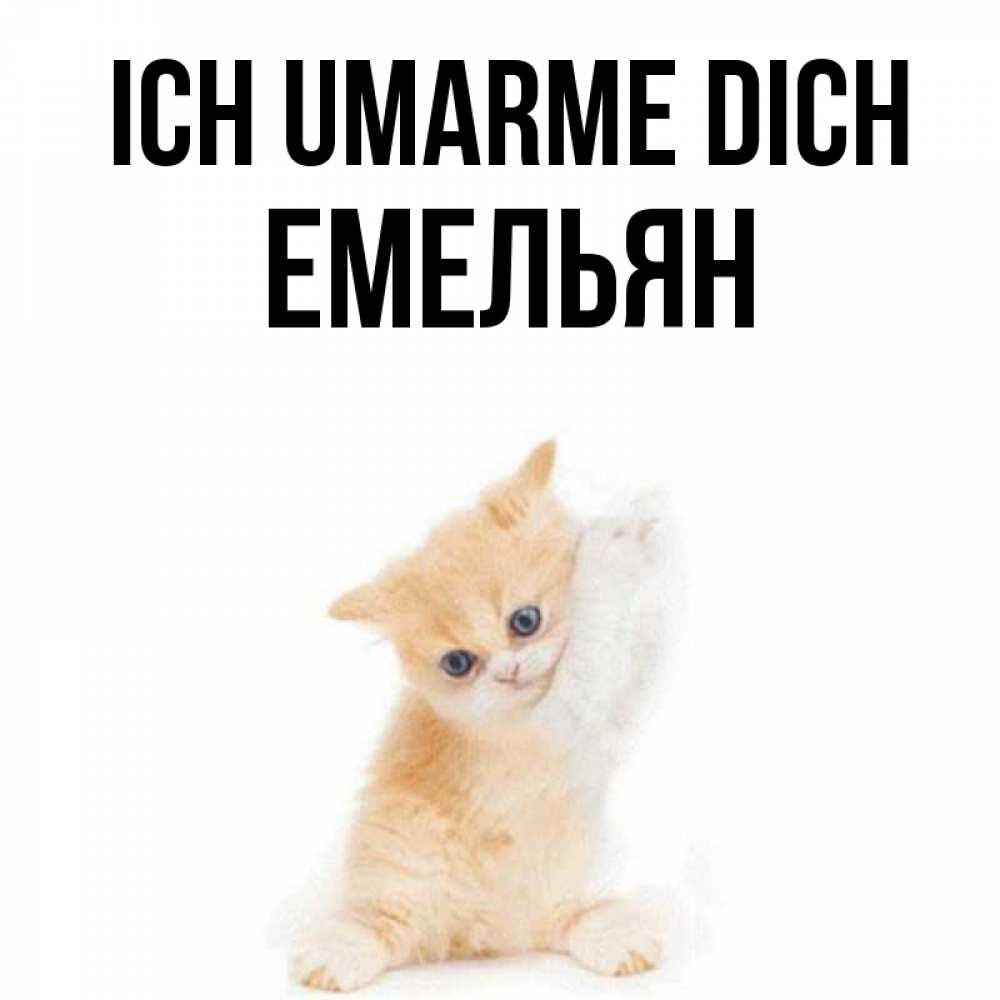 Открытка на каждый день с именем, Емельян Ich umarme dich я хочу очень скорее обнимаешек Прикольная открытка с пожеланием онлайн скачать бесплатно 