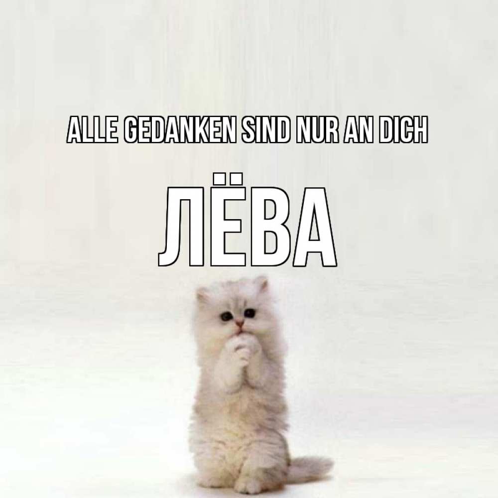 Открытка на каждый день с именем, Лёва Alle Gedanken sind nur an dich кот стоит на задних лапах Прикольная открытка с пожеланием онлайн скачать бесплатно 