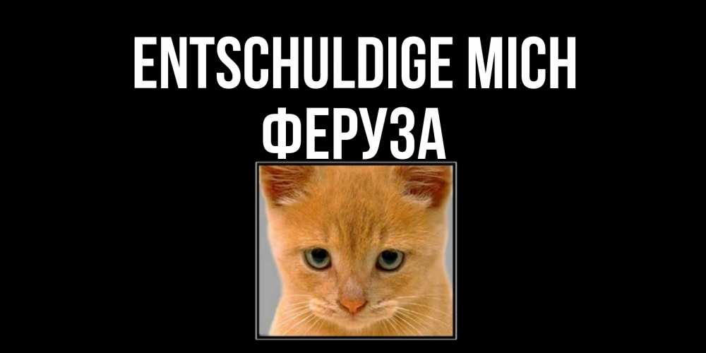 Открытка на каждый день с именем, Феруза Entschuldige mich рыжий грустный кот просит прощения Прикольная открытка с пожеланием онлайн скачать бесплатно 