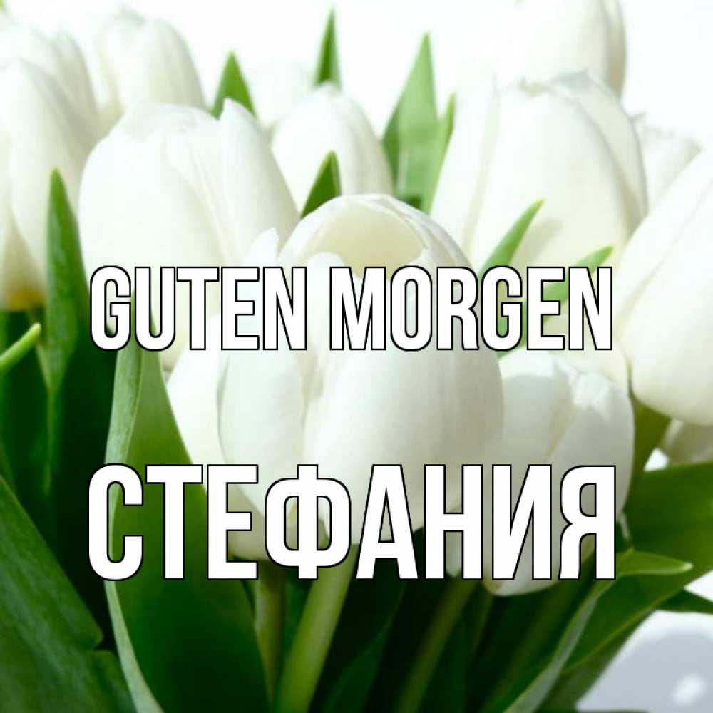 Открытка на каждый день с именем, Стефания Guten Morgen открытки на каждый день по именам Прикольная открытка с пожеланием онлайн скачать бесплатно 