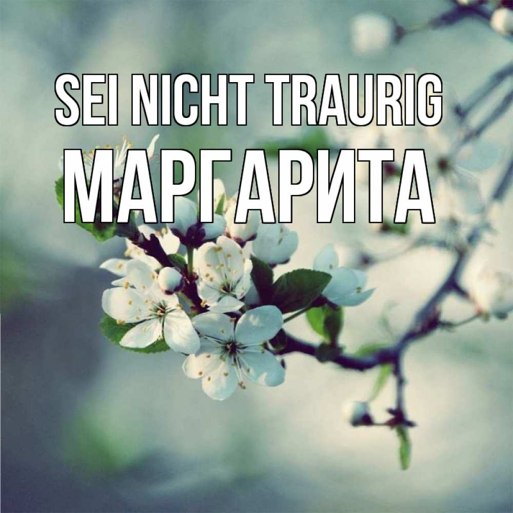 Открытка на каждый день с именем, Маргарита Sei nicht traurig яблоня в цвету 1 Прикольная открытка с пожеланием онлайн скачать бесплатно 