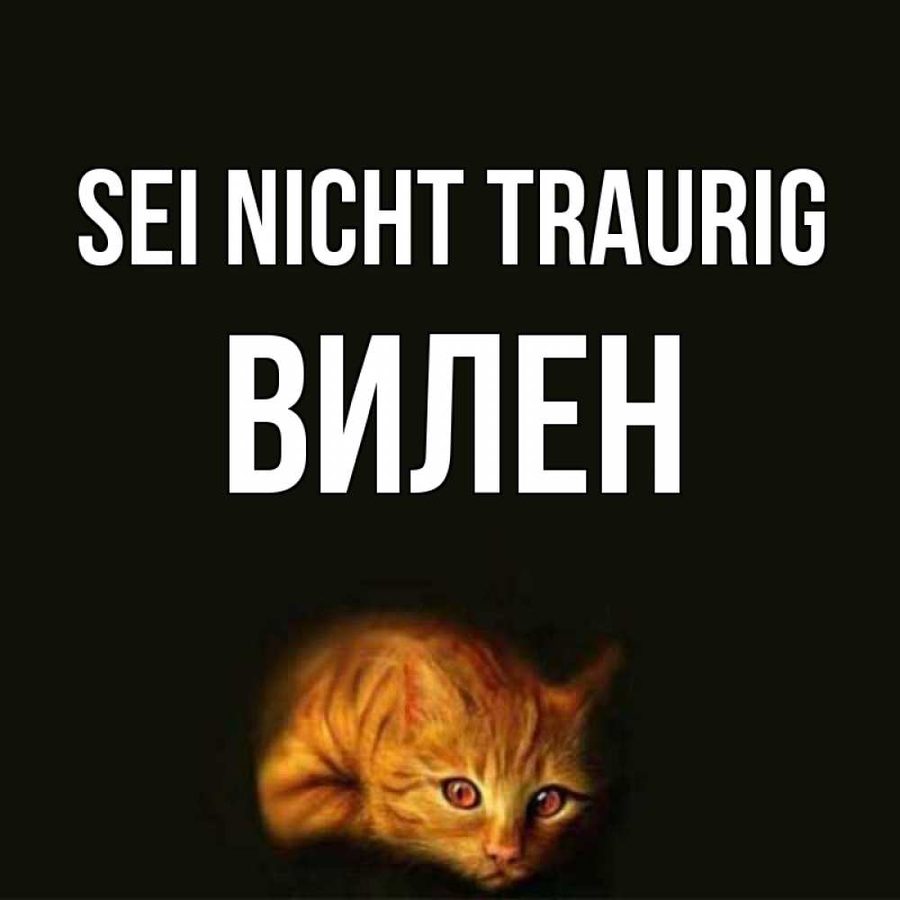 Открытка на каждый день с именем, Вилен Sei nicht traurig лежащий кот в темноте Прикольная открытка с пожеланием онлайн скачать бесплатно 
