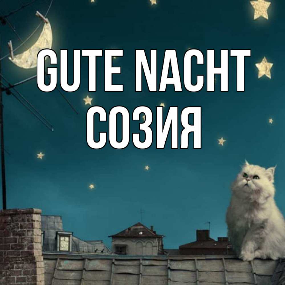 Открытка на каждый день с именем, Созия Gute Nacht белый кот сидит на крыше Прикольная открытка с пожеланием онлайн скачать бесплатно 