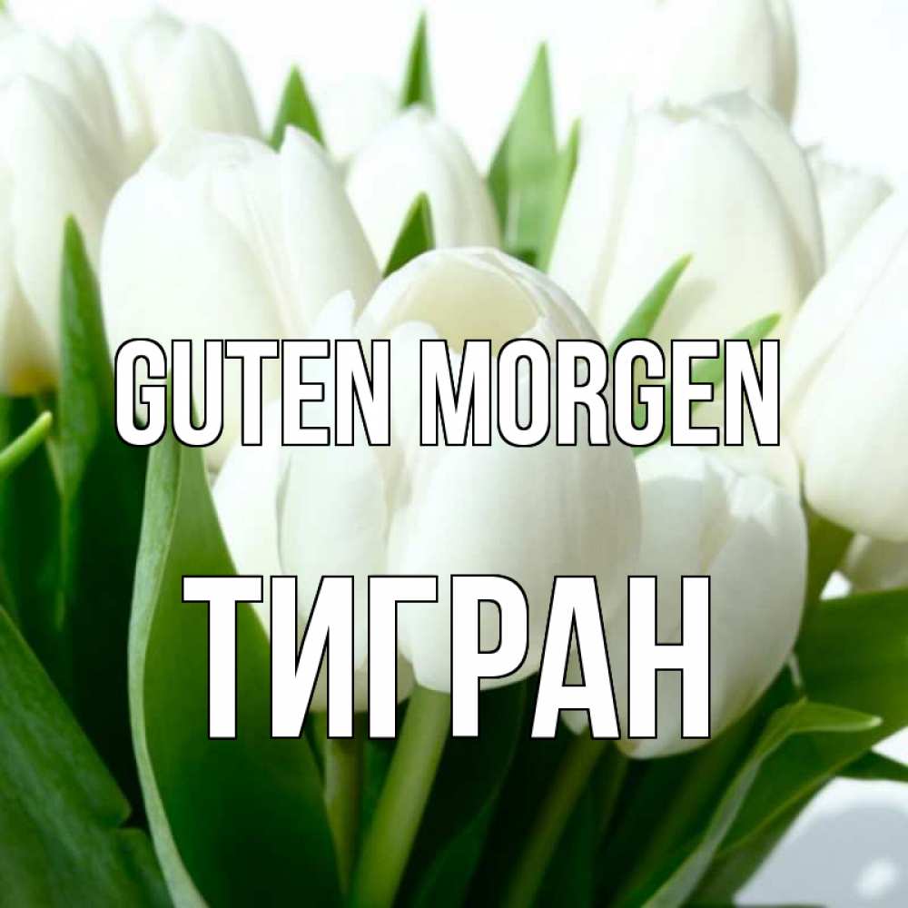 Открытка на каждый день с именем, Тигран Guten Morgen открытки на каждый день по именам Прикольная открытка с пожеланием онлайн скачать бесплатно 